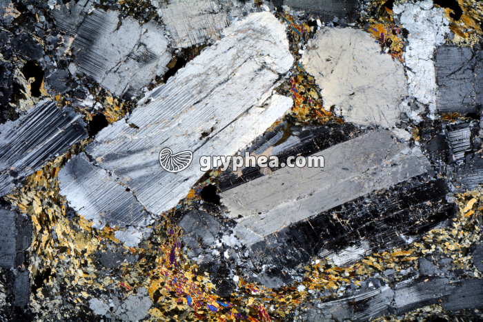 Métagabbro à Hornblende LPA x3,5 - gryphea.com